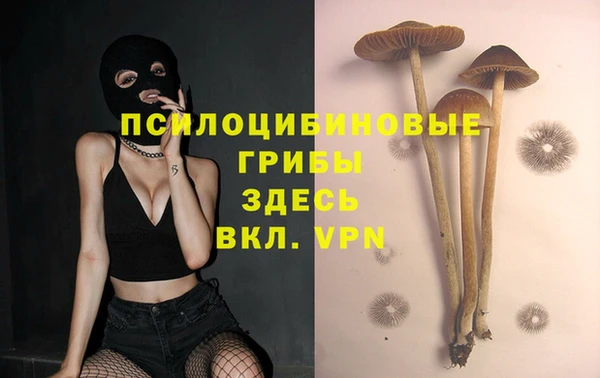 кокаин перу Елизово
