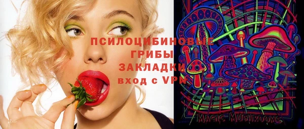 героин Ельня