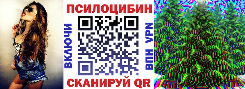 Купить закладки Губаха Галлюциногенные грибы мухоморы